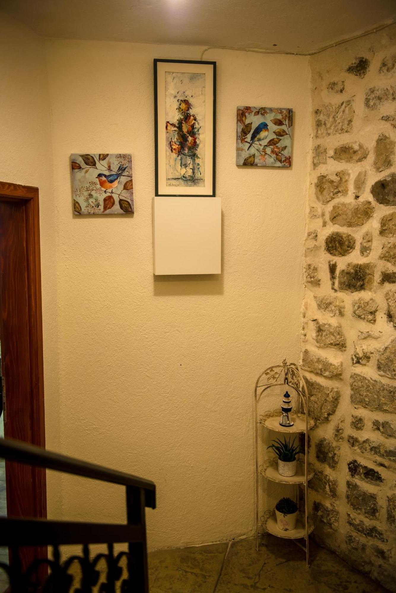 Antika Guesthouse Kotor Buitenkant foto